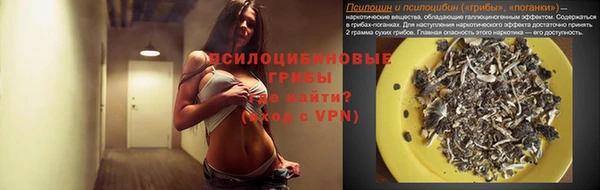 гашиш Новодвинск