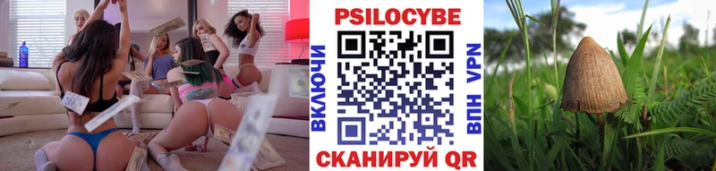 блэк спрут ССЫЛКА  Котельнич  Псилоцибиновые грибы мухоморы  купить  цена 