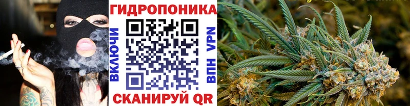 Каннабис THC 21%  Котельнич 